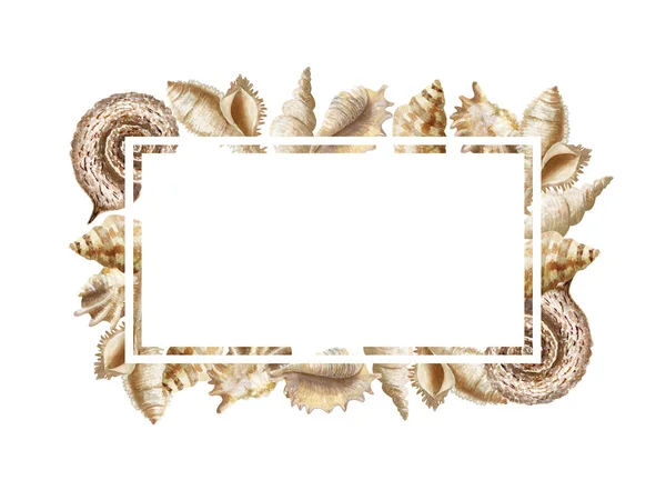 Watercolor rectangular frame with seashells and place for text — Stock Photo, Image