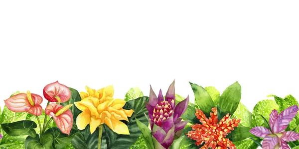Watercolor border with tropical flowers isolated on white — Stock Photo, Image