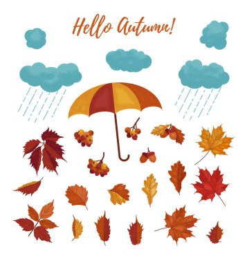 Sonbahar vektör seti beyaz arka plan üzerinde izole