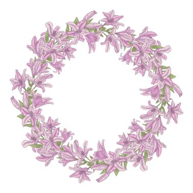 Açık pembe zambak çiçekleri vektör çelenk beyaz izole