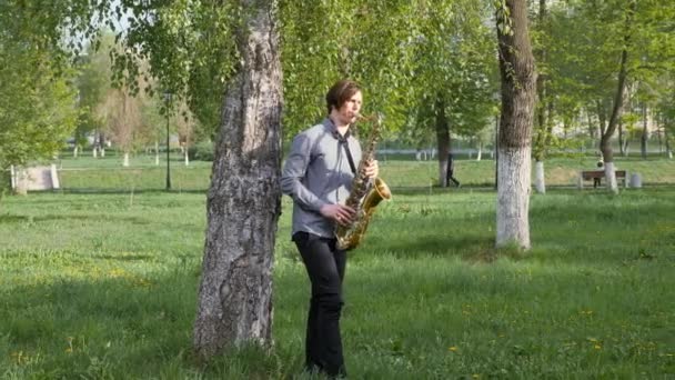 Un tânăr cântă la saxofon. Omul stă pe iarba verde şi umblă printre mesteacăne. . — Videoclip de stoc