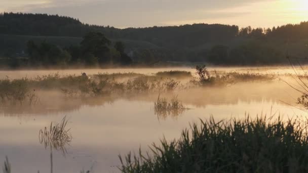 Au lever du soleil. Paysage matinal. Matin dans le ciel et son reflet sur la surface aqueuse de la rivière. Le matin d'été. Du brouillard sur la rivière. Silhouette de pêcheur sur un bateau gonflable au loin — Video