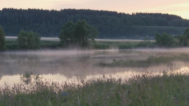 Soluppgång. Morgon landskap. Morgon i himlen och dess reflektion på vattnig ytan av floden. Sommarmorgon. Dimma över floden. — Stockvideo