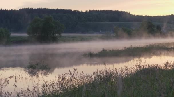 Amanecer. Paisaje matinal. Mañana en el cielo y su reflejo en la superficie acuosa del río. Mañana de verano. Niebla sobre el río . — Vídeo de stock