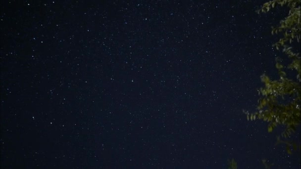 Rozgwieżdżone niebo. Migoczących gwiazd na niebie ciemna noc. Interwał czasu. Starfall w rozgwieżdżone niebo. Fascynujący zabytek. Nocne niebo za gałęzie drzewa. chmury światło wirujące całkowicie — Wideo stockowe