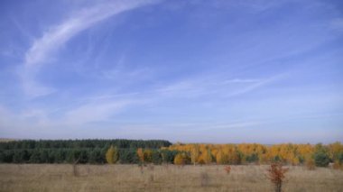 Rusya'nın geniş Expanses. Altın Sonbahar. Sarı-kırmızı orman küçük cirrus bulutlar ile mavi gökyüzü arka plan üzerinde.