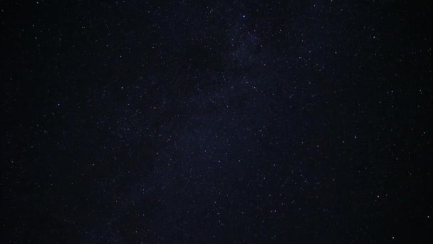 Cair estrelado num céu estrelado. Espetáculo fascinante. Céu noturno atrás da coroa de uma árvore. Cair estrelado num céu estrelado. Espetáculo fascinante. Desfasamento temporal — Vídeo de Stock