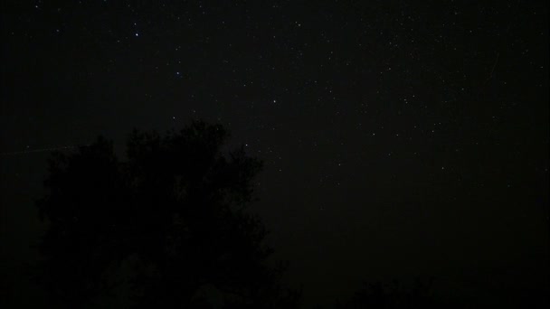 Hvězdnou noční oblohu. Zářící hvězdy na tmavé noční obloze. Časová prodleva. Starfall na hvězdnou oblohu. Fascinující podívaná. Noční obloha za koruny stromu. — Stock video