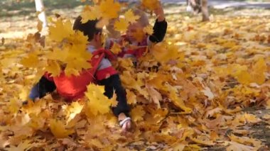 Sonbahar. Sarı yapraklar küçük çocuklarda. Çocuklar sokakta düşen yapraklar ile oynamak. Sonbahar grove ağaç ve maples. Çocuklar kadar düşen yapraklar ağaçların üst atmak. Çocuklar arasında oturmak