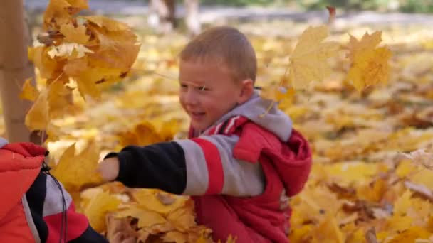 Осень. Маленькие дети в жёлтых листьях. Дети играют на улице с опавшими листьями. Осенняя роща берез и кленов. Мальчики выбрасывают упавшие листья деревьев на верхушку. Дети сидят напротив — стоковое видео