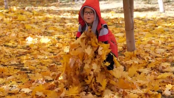 黄色の葉で 小さな子供 子供たちは 落ち葉が付いている通りで遊ぶ 白樺とモミジの秋のグローブ 男の子は 一番上の木の落ち葉をスローします 子供は 上に座っている — ストック動画