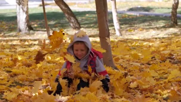 Sonbahar. Sarı yapraklar küçük çocuklarda. Çocuklar sokakta düşen yapraklar ile oynamak. Sonbahar grove ağaç ve maples. Çocuklar kadar düşen yapraklar ağaçların üst atmak. Bir çocuk oturur bir — Stok video