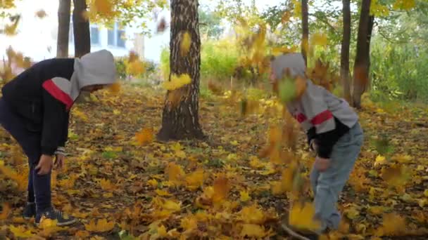 Outono. Crianças pequenas nas folhas amarelas. As crianças brincam na rua com folhas caídas. Árvore de outono de vidoeiros e maçãs. Os rapazes vomitam folhas caídas de árvores no topo. Crianças de pé — Vídeo de Stock