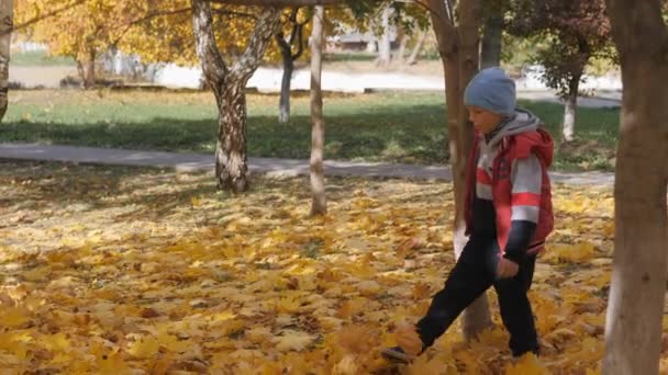 Outono. Crianças pequenas nas folhas amarelas. As crianças brincam na rua com folhas caídas. Árvore de outono de vidoeiros e maçãs. Miúdos felizes na rua. menino caminha através de folhagem outono caído — Vídeo de Stock