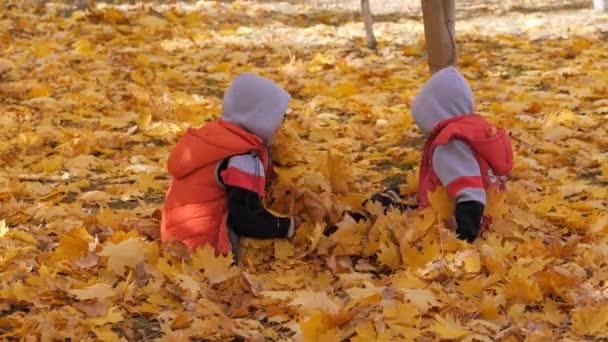 Autunno. Bambini piccoli nelle foglie gialle. I bambini giocano per strada con le foglie cadute. Boschetto autunnale di betulle e aceri. I ragazzi vomitano foglie cadute di alberi in cima. I bambini siedono di fronte — Video Stock