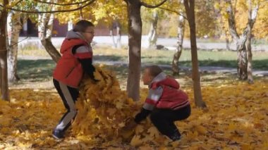 Sonbahar. Sarı yapraklar küçük çocuklarda. Çocuklar sokakta düşen yapraklar ile oynamak. Sonbahar grove ağaç ve maples. Çocuklar kadar düşen yapraklar ağaçların üst atmak. Çocuk standı