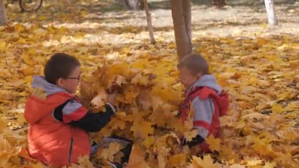 Herfst. Kleine kinderen in de gele bladeren. Kinderen spelen in de straat met de gevallen bladeren. Herfst grove van berken en esdoorns. Jongens, is overgeven van gevallen bladeren van bomen in de top. Kinderen zitten in — Stockvideo