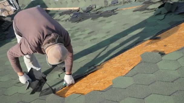 Dismantling the soft roof. French green tile. Roofer working on a sloping roof. A man with a beard tears off an old roofing material from a wooden slab with the help of a crowbar. Construction work at — Stock Video