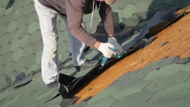 A desmontar o telhado macio. Azulejo verde francês. Roofer trabalhando em um telhado inclinado. Um homem com barba arranca um velho material de cobertura de uma laje de madeira com a ajuda de um pé de cabra. Construção em — Vídeo de Stock