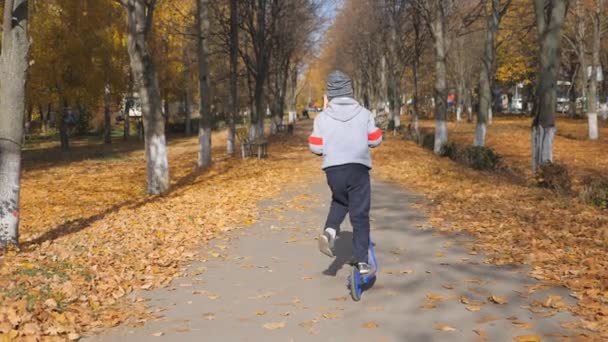 Kind auf einem Roller. Kleiner Junge stößt mit dem Fuß ab und reitet auf dem Brett. das Kind hält das Lenkrad und fährt einen Roller. Sport, langsames Schießen — Stockvideo