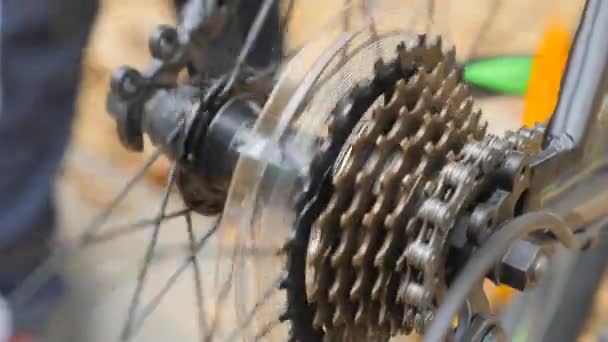 Rueda dentada trasera de bicicleta de velocidad. bicicleta de alta velocidad, piñón trasero contra el fondo de una rueda giratoria — Vídeos de Stock