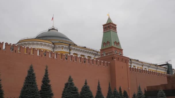 Red Square, Moscow, Russia. View of the Kremlin wall with the Senate Tower. Over the Senate Palace on the flagpole is developing the flag of the Russian Federation. Necropolis at the Kremlin wall. a — Stock Video