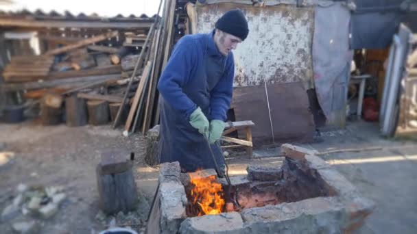 El joven herrero trabaja el metal. Artesano, el Highlander en la herrería privada en el pueblo. Quemando troncos en el horno de herreros. Sacando la palanquilla caliente del hogar usando garrapatas. Chispas — Vídeos de Stock