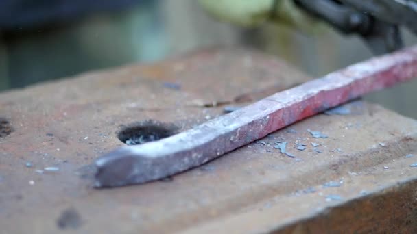 鍛冶屋は金属を動作します。職人の村のプライベート鍛冶のハイランダー。鍛冶フォージにハンマーがあります。鍛冶屋は、ハンマーで溶銑からスケールをノックします。遅い — ストック動画