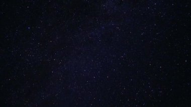 Starfall yıldızlı gökyüzü üzerinde. Büyüleyici gözlük. Gece gökyüzü taç bir ağacın arkasında. Starfall yıldızlı gökyüzü üzerinde. Büyüleyici gözlük. Çerçeve içinde hareket. Güzel çekici manzara. Zaman atlamalı