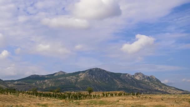 Montañas contra el cielo azul con nubes blancas. Las plantaciones de uva en las montañas de Crimea. Viñedos en el valle. Las nubes circulares atraviesan el cielo azul. mejores tipos de cadenas montañosas. Hermosa. — Vídeos de Stock