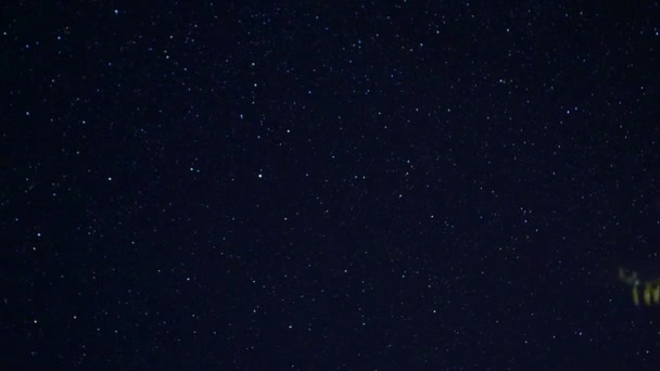Ночное звездное небо. Мерцающие звезды в темном ночном небе. Временной интервал. Звездопад в звездном небе. Захватывающее зрелище. Ночное небо за ветвями дерева. Легкие облака кружатся полностью — стоковое видео