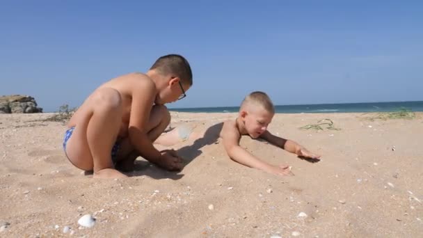 Мальчиков хоронят в песке на пляже — стоковое видео