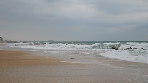 파도가 씻어 모래 해안. 능선 바위에 깨졌습니다. — 비디오