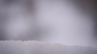 Karda kar taneleri düşüyor