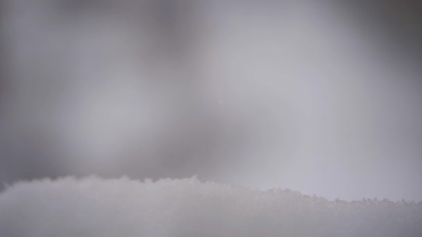 Sneeuwvlokken vallen in de sneeuw — Stockvideo