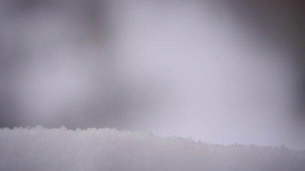 Νιφάδες χιονιού πέφτουν στο χιόνι — Αρχείο Βίντεο