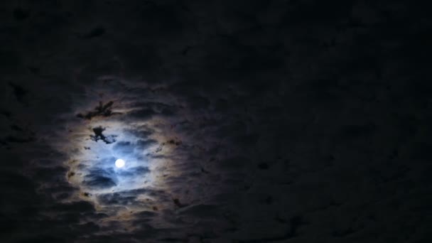 夜空。満月. — ストック動画
