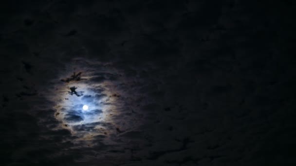 Il cielo notturno. Luna piena . — Video Stock