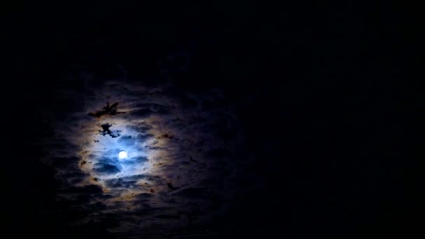 Nachtelijke hemel. Volle maan. — Stockvideo