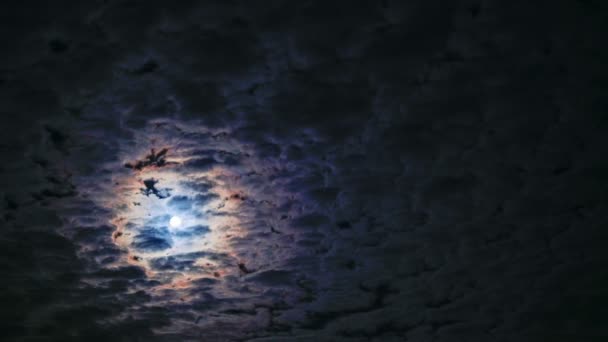 Night sky. Full moon. — Stock Video
