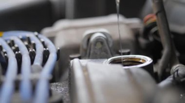 İç yanmalı motorda yağ doldurun. Metal bir bidondan araba motorunun deliğine akan bir sıvı jeti.