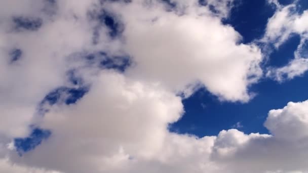 Céu Azul Primavera Com Nuvens Nuvens Movem Sobre Fundo Azul — Vídeo de Stock