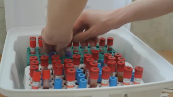 Bloedbemonstering Bij Een Medische Faciliteit Bloedmonsters Opgeslagen Laboratorium Buizen Voor — Stockvideo