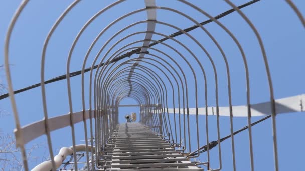 Wieża Komórkowa Przeciwko Błękitnym Niebem Metalowa Drabina Opuszczania Niebie — Wideo stockowe