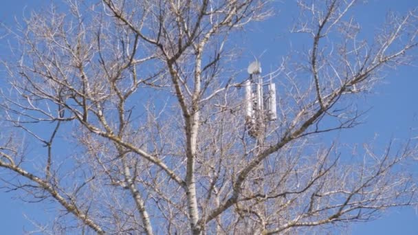 Mobiele Toren Tegen Blauwe Lucht Leafless Struik Takken — Stockvideo