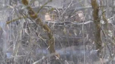 Mulcher - sürecinde orman helikopteri.