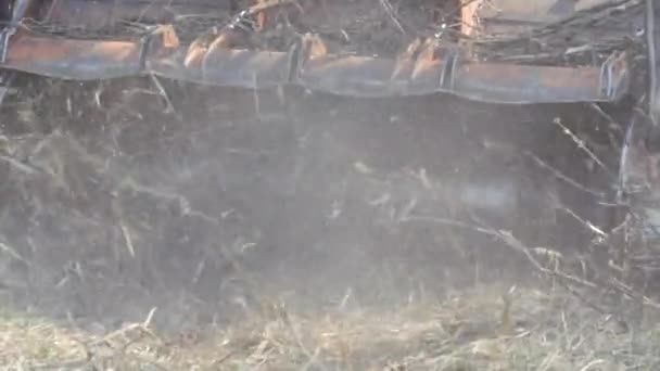 木耳 - 在这个过程中的森林切碎器. — 图库视频影像