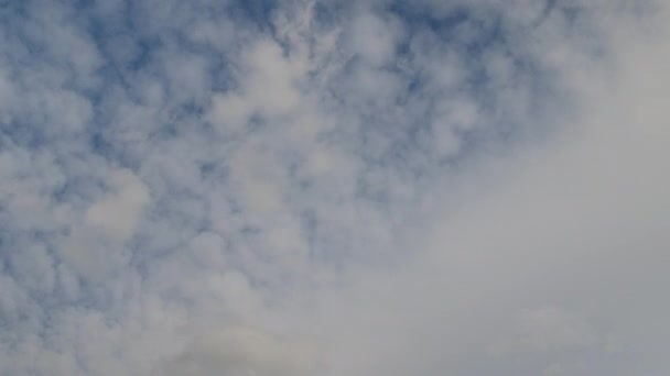 Tid förflutit av Cumulus moln mot en blå himmel. — Stockvideo