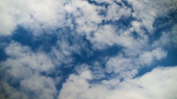 Lapso Tempo Nuvens Cumulus Contra Céu Azul Nuvens Brancas Apertam — Vídeo de Stock