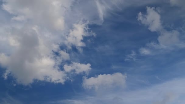 青空に対する積雲の時間経過 白い雲が空を引き締める — ストック動画